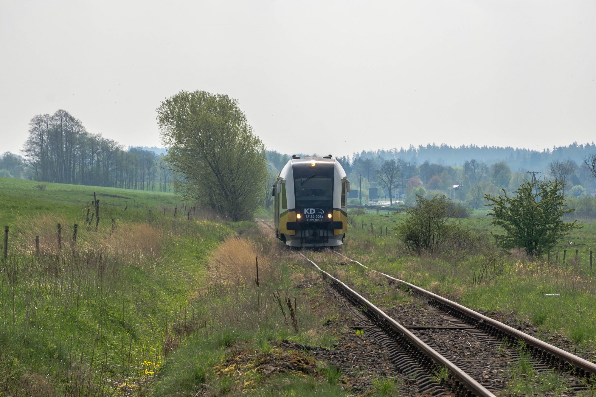 koleje-dolnoslaskie-pojada-do-skalnego-miasta-foto-74811
