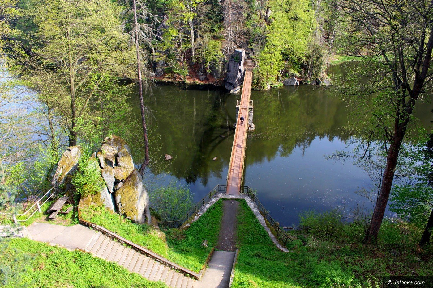 sprzataja-borowy-jar-doacz-foto-74853
