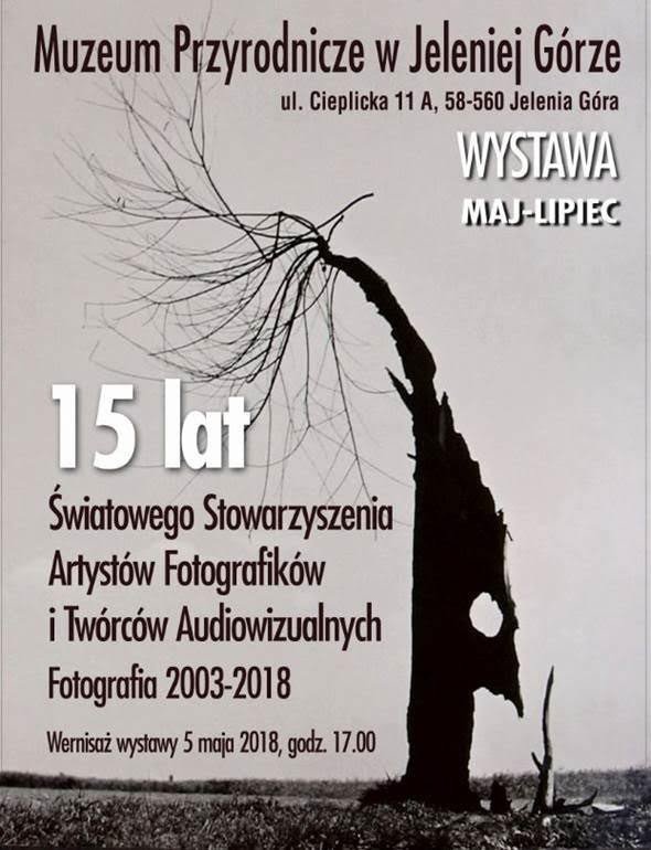 wystawa-artystow-fotografikow-74922