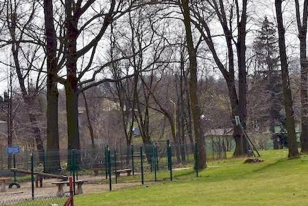 park-wypieknieje-74942