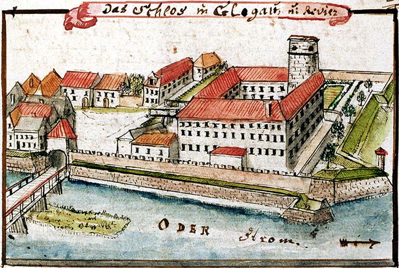 Zamek w Głogowie
