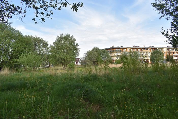 ten-zakatek-straszy-foto-74983