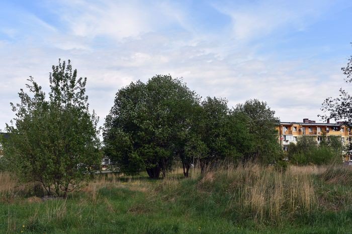 ten-zakatek-straszy-foto-74983