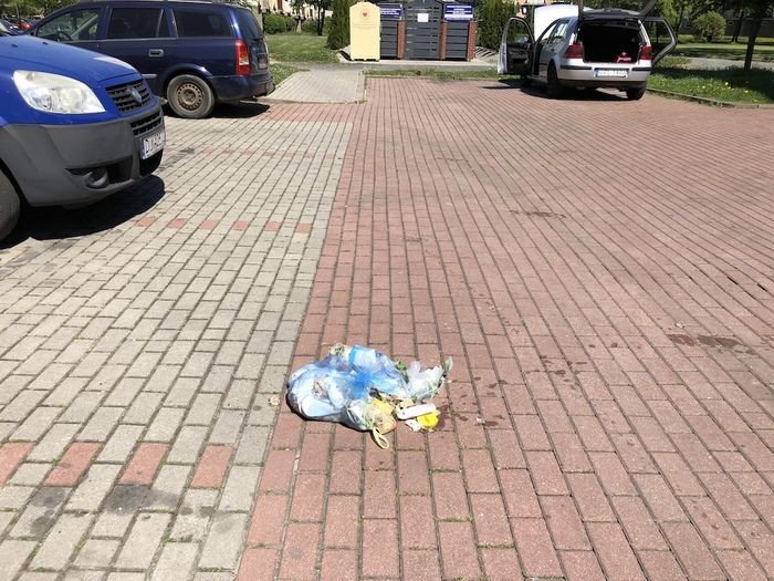 plaga-baaganiarstwa-foto-74998