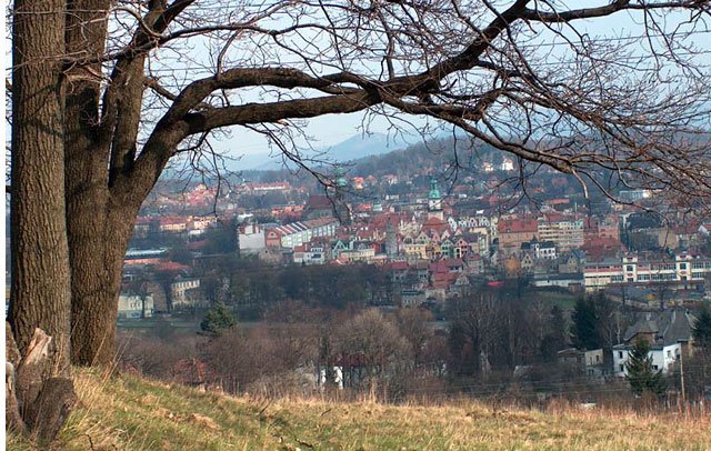 Widok wieży, Jeleniej Góry i linii kolejowej z pobliża wzgórza Pastwy zwanego też Szancami.