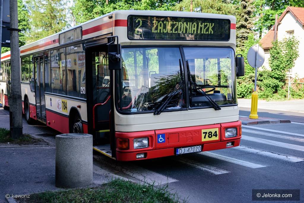 autobus-potraci-pieszego-na-pasach-foto-75107