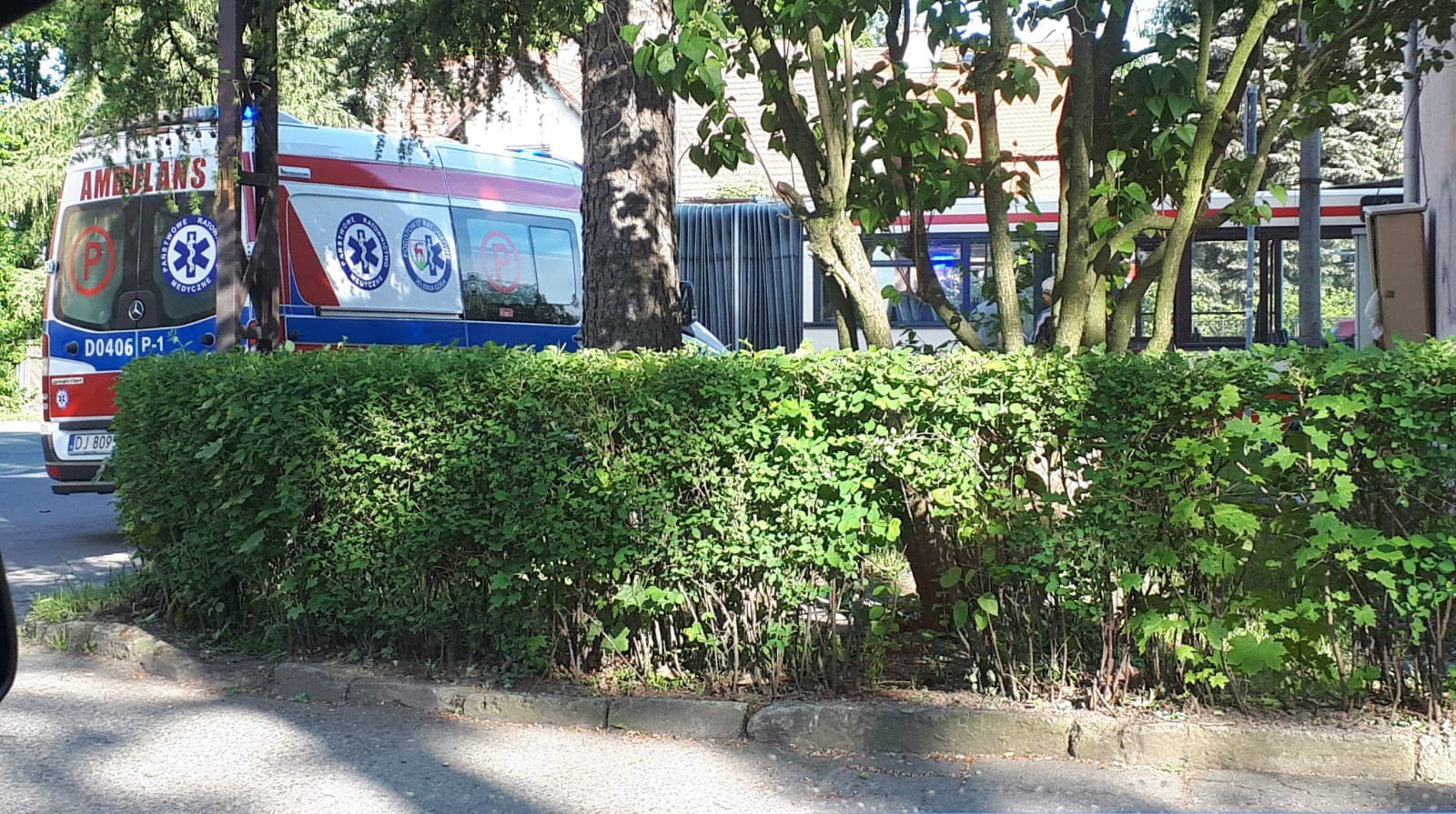 autobus-potraci-pieszego-na-pasach-foto-75107