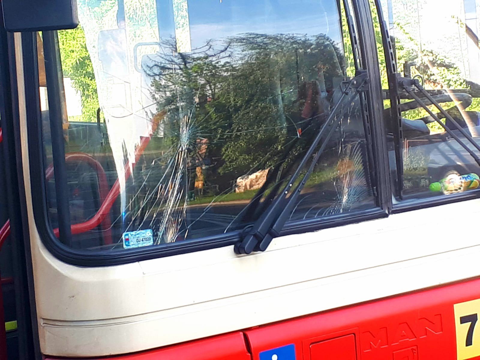 autobus-potraci-pieszego-na-pasach-foto-75107