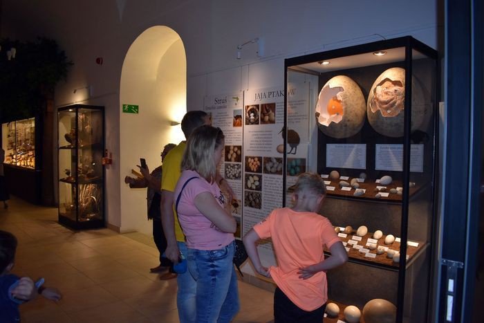 artystyczna-noc-w-muzeum-foto-75207