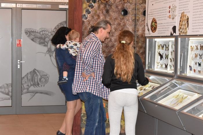 artystyczna-noc-w-muzeum-foto-75207