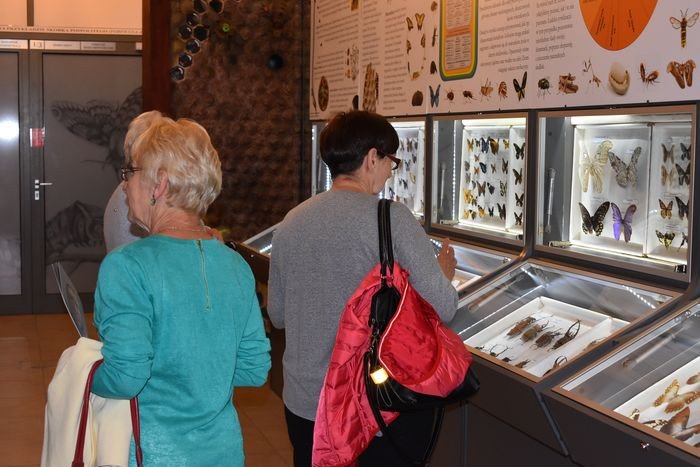 artystyczna-noc-w-muzeum-foto-75207