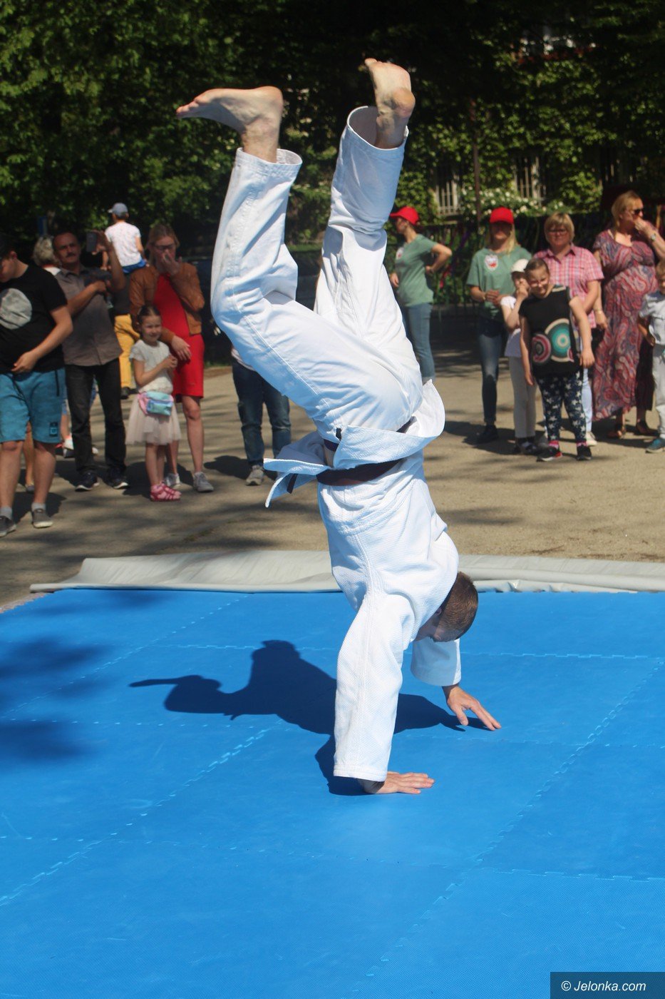 rodzinny-piknik-w-sosw-foto-75333