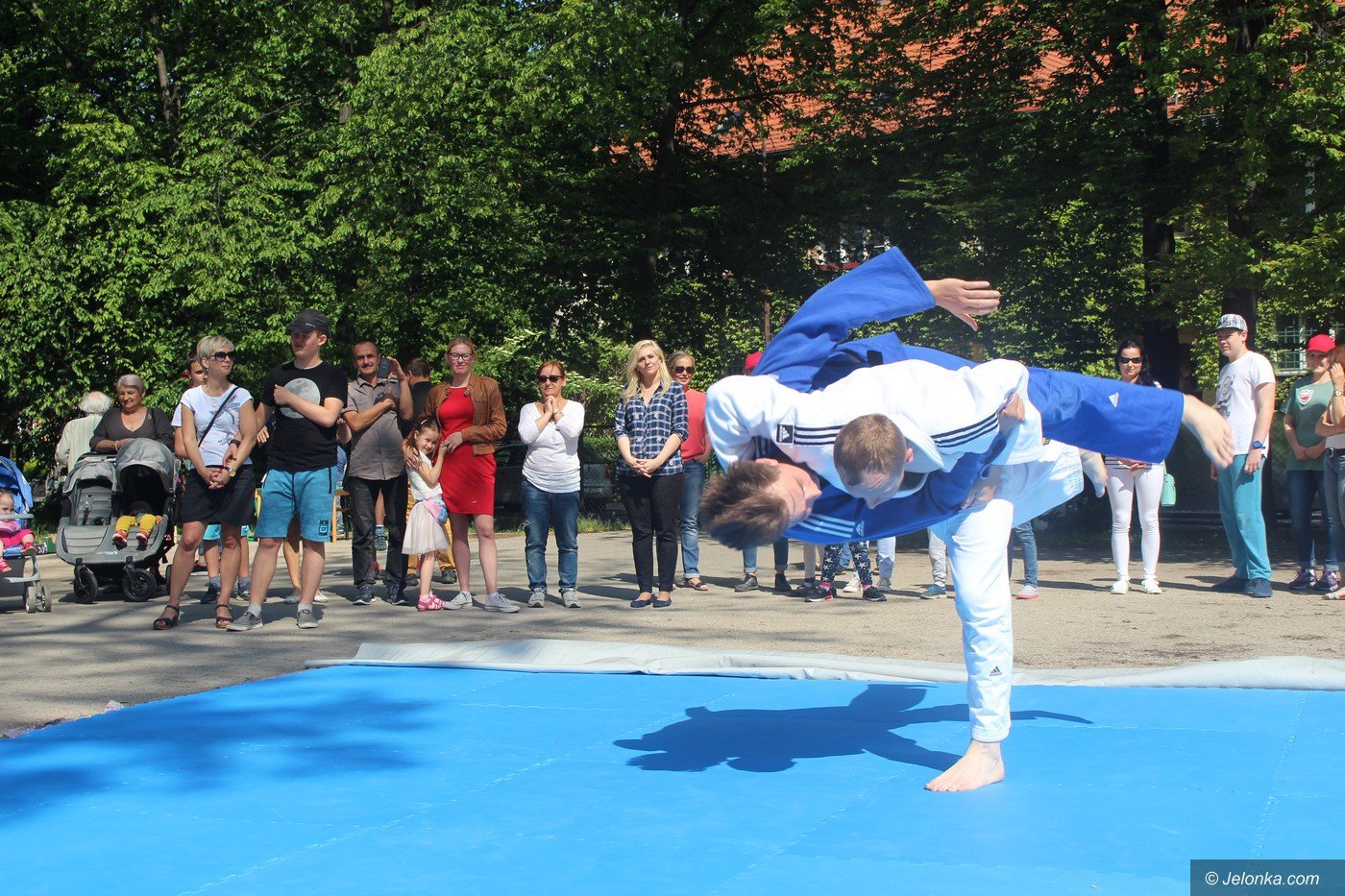 rodzinny-piknik-w-sosw-foto-75333
