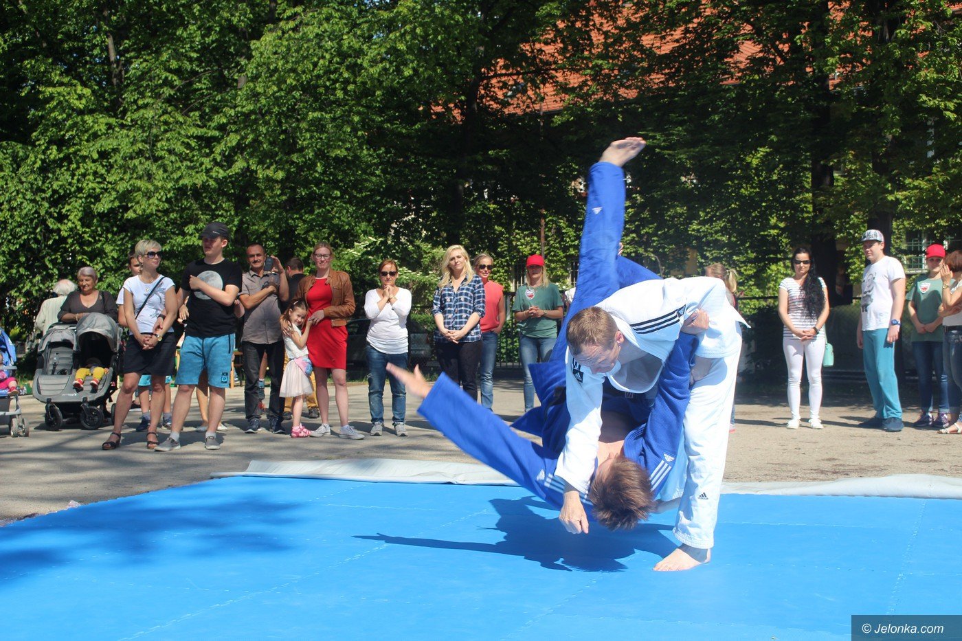 rodzinny-piknik-w-sosw-foto-75333