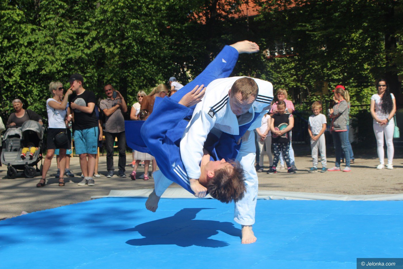 rodzinny-piknik-w-sosw-foto-75333