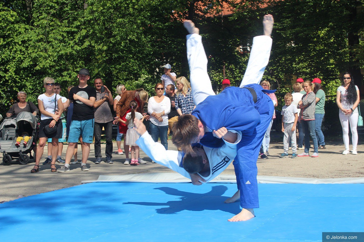 rodzinny-piknik-w-sosw-foto-75333