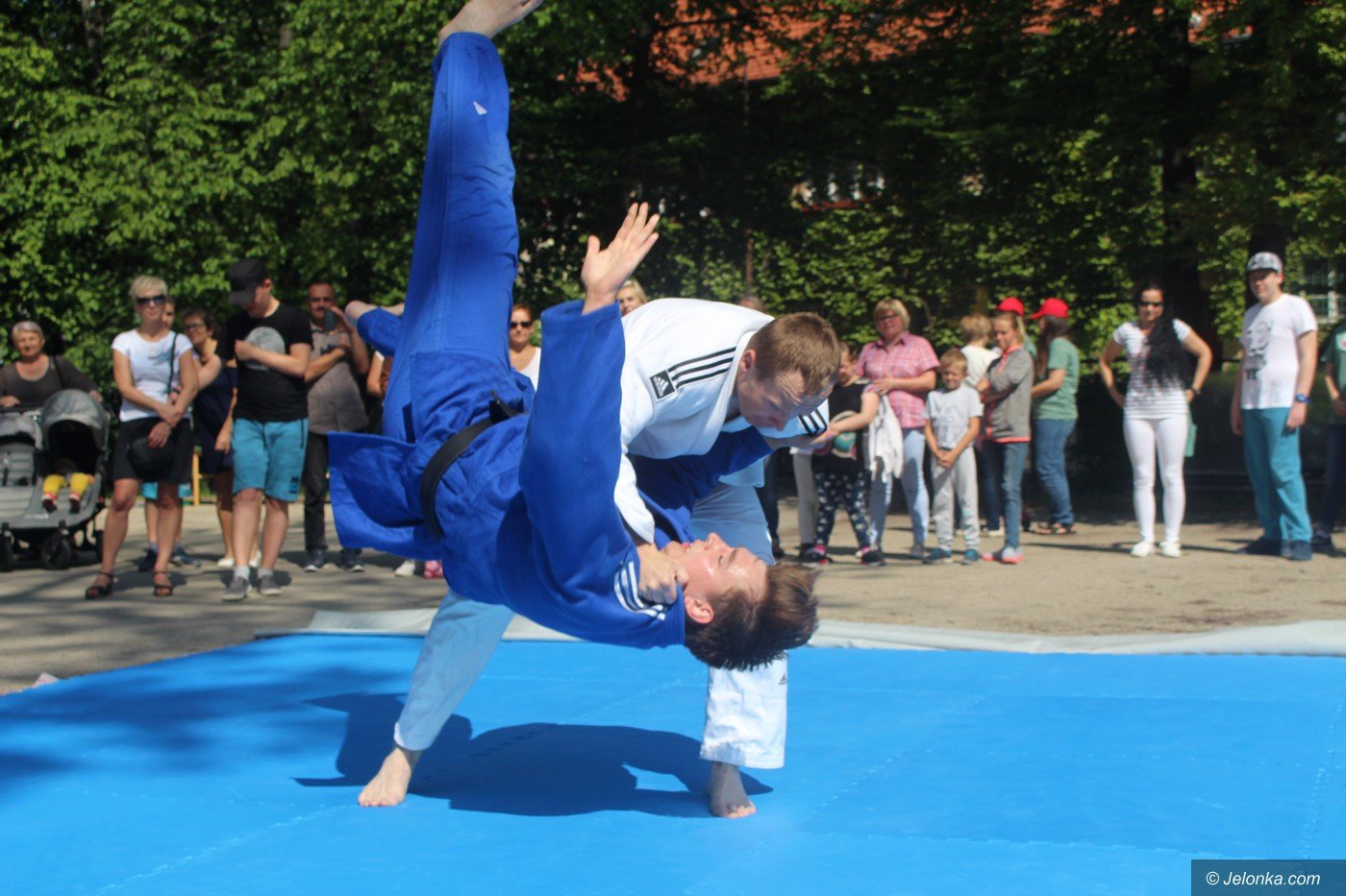 rodzinny-piknik-w-sosw-foto-75333