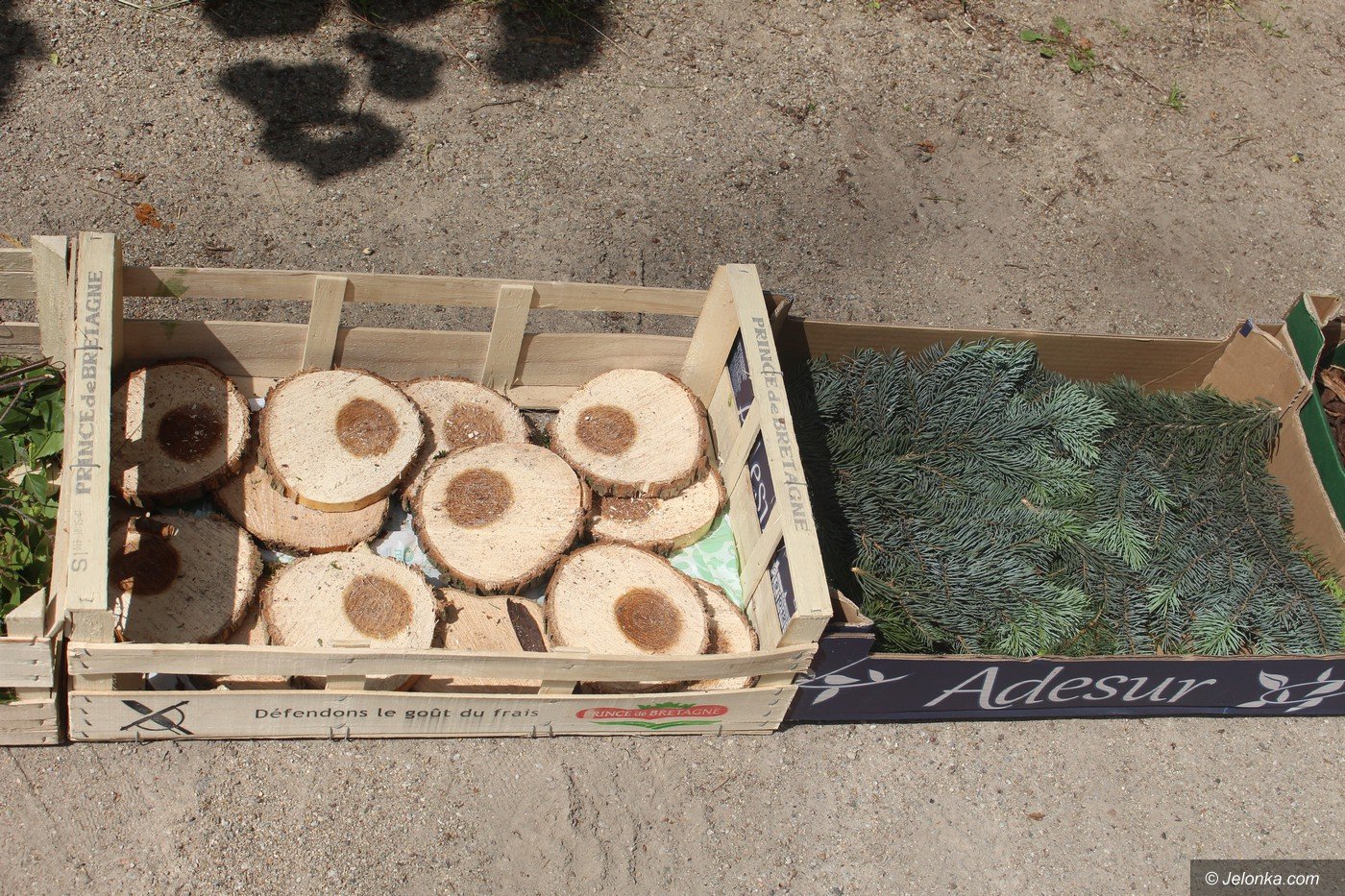 rodzinny-piknik-w-sosw-foto-75333