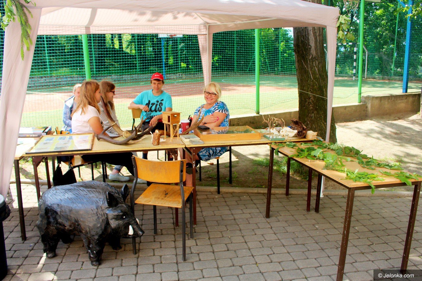 naturalnie-przy-lesnej-foto-75337