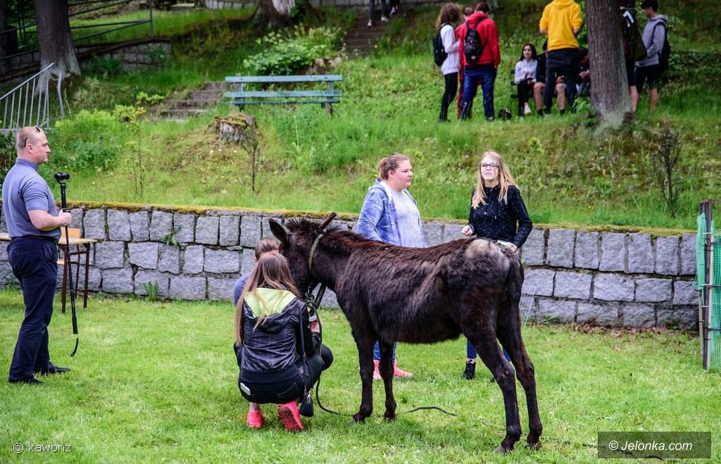naturalnie-przy-lesnej-foto-75337