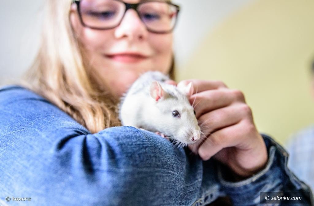 naturalnie-przy-lesnej-foto-75337