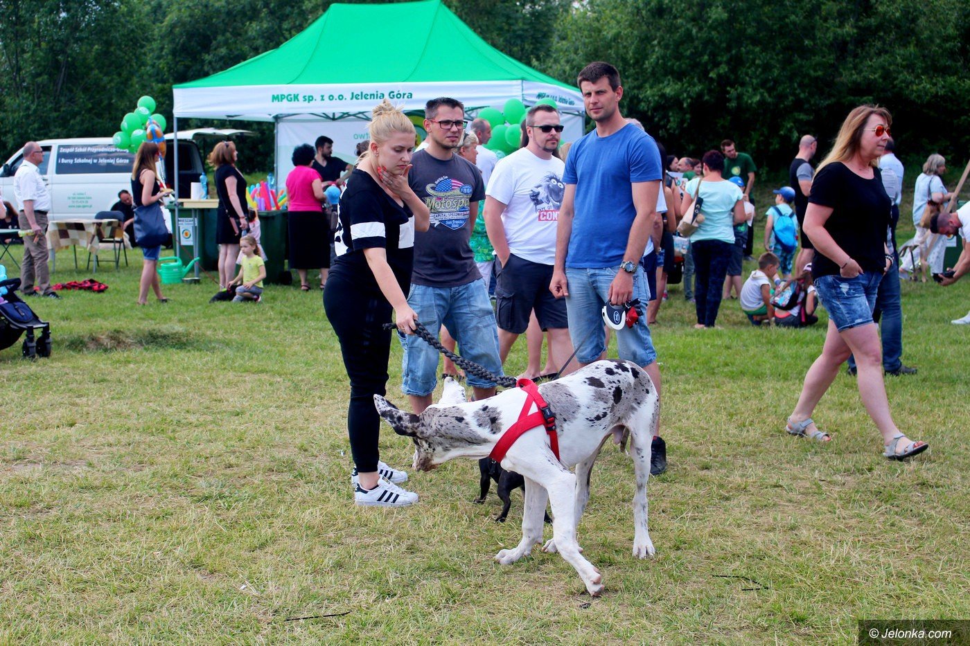 oni-kochaja-zwierzeta-foto-75347