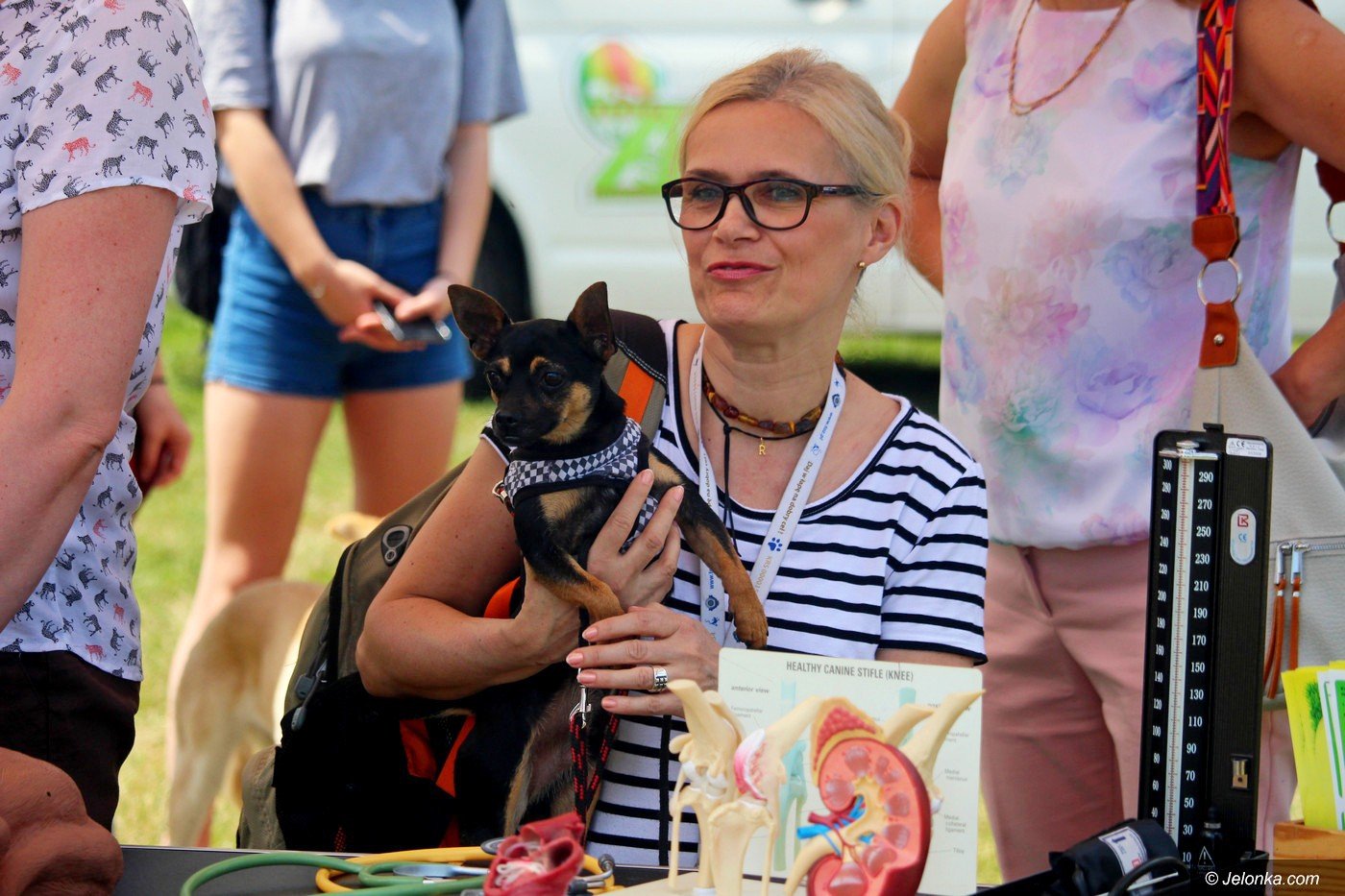 oni-kochaja-zwierzeta-foto-75347