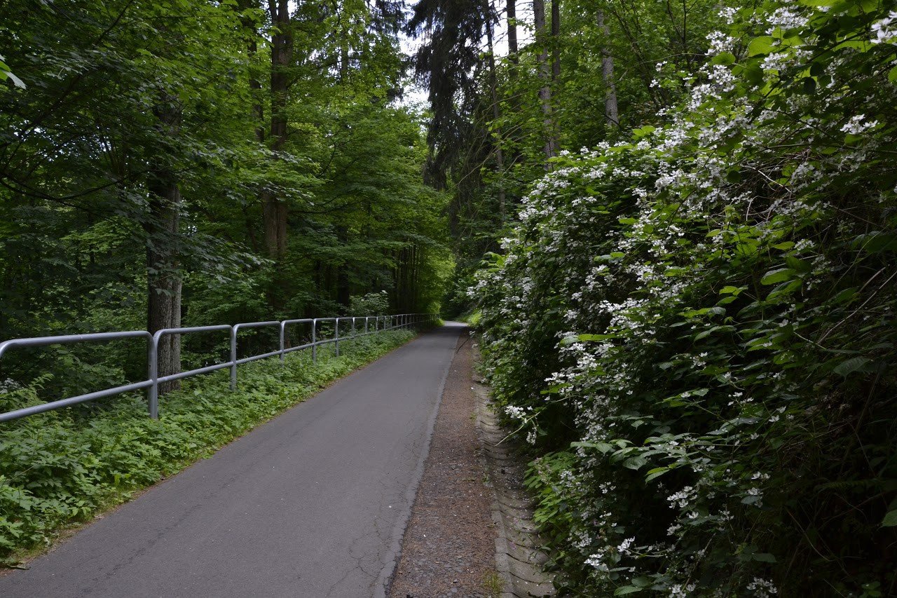 fotograficzna-wycieczka-po-miescie-i-okolicy-foto-75359