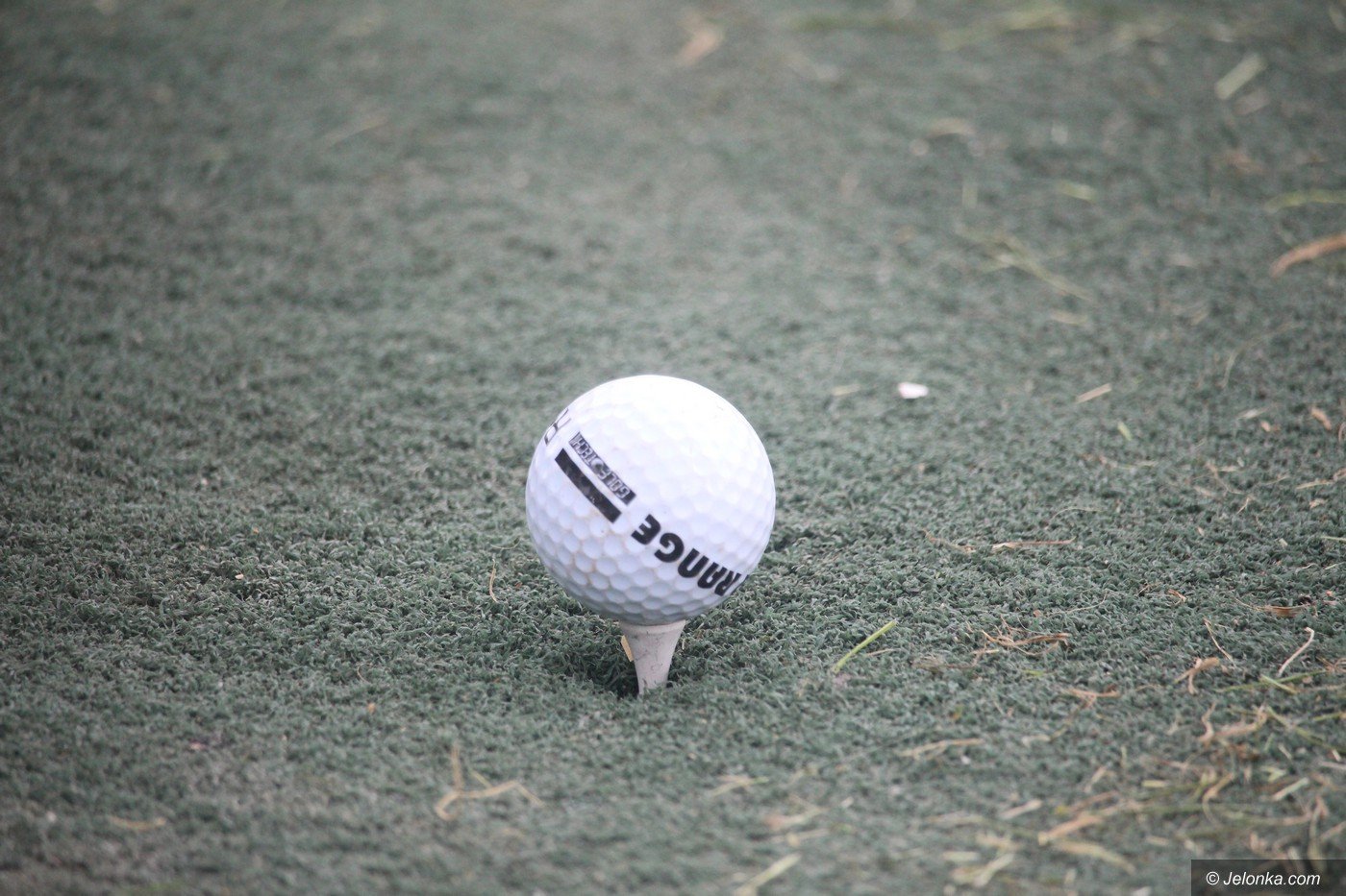 golfisci-maja-strzelnice-foto-75368