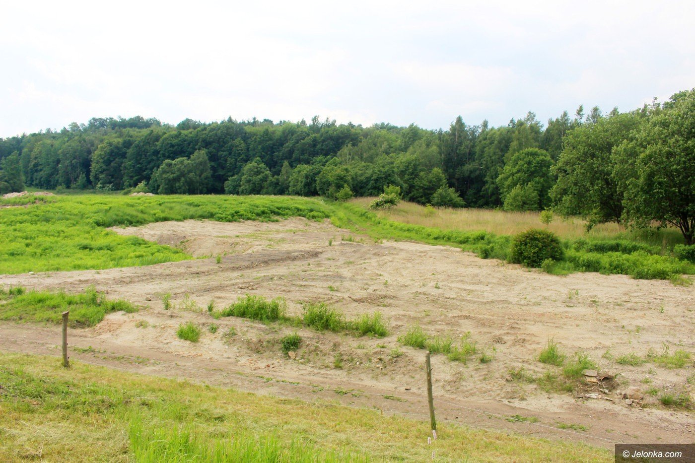 golfisci-maja-strzelnice-foto-75368