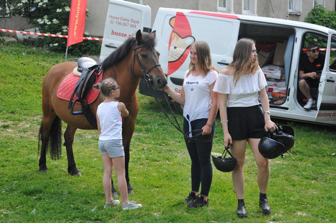 wspaniay-festyn-ze-zwierzakami-foto-75379