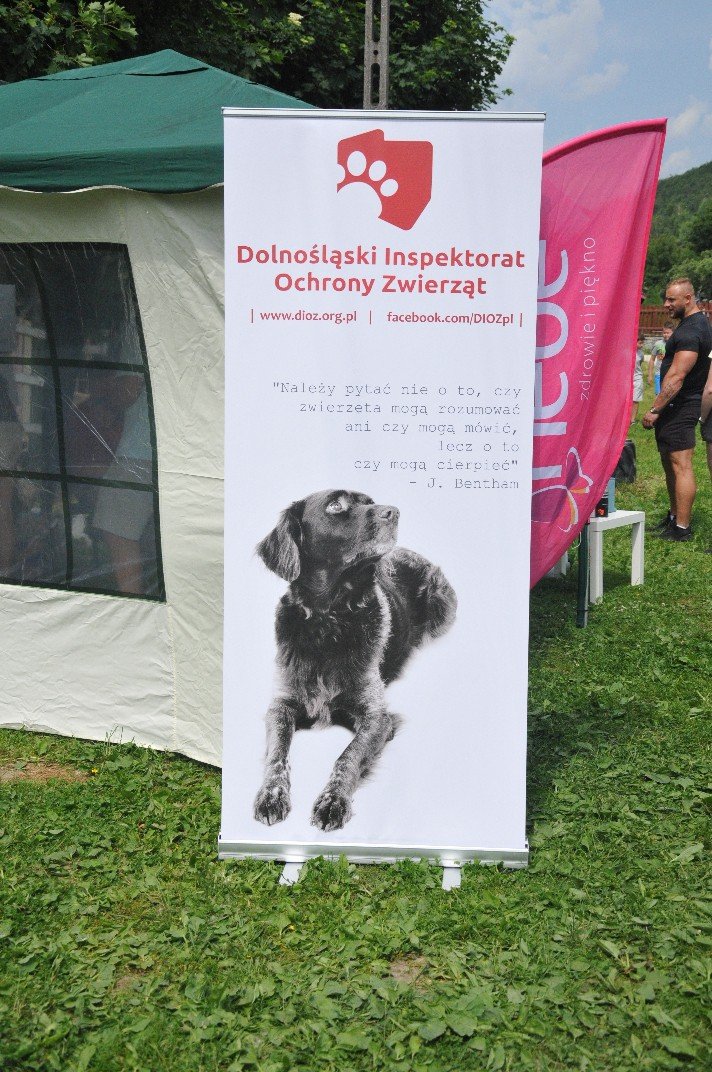 wspaniay-festyn-ze-zwierzakami-foto-75379