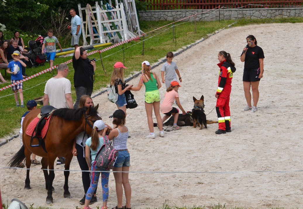 wspaniay-festyn-ze-zwierzakami-foto-75379