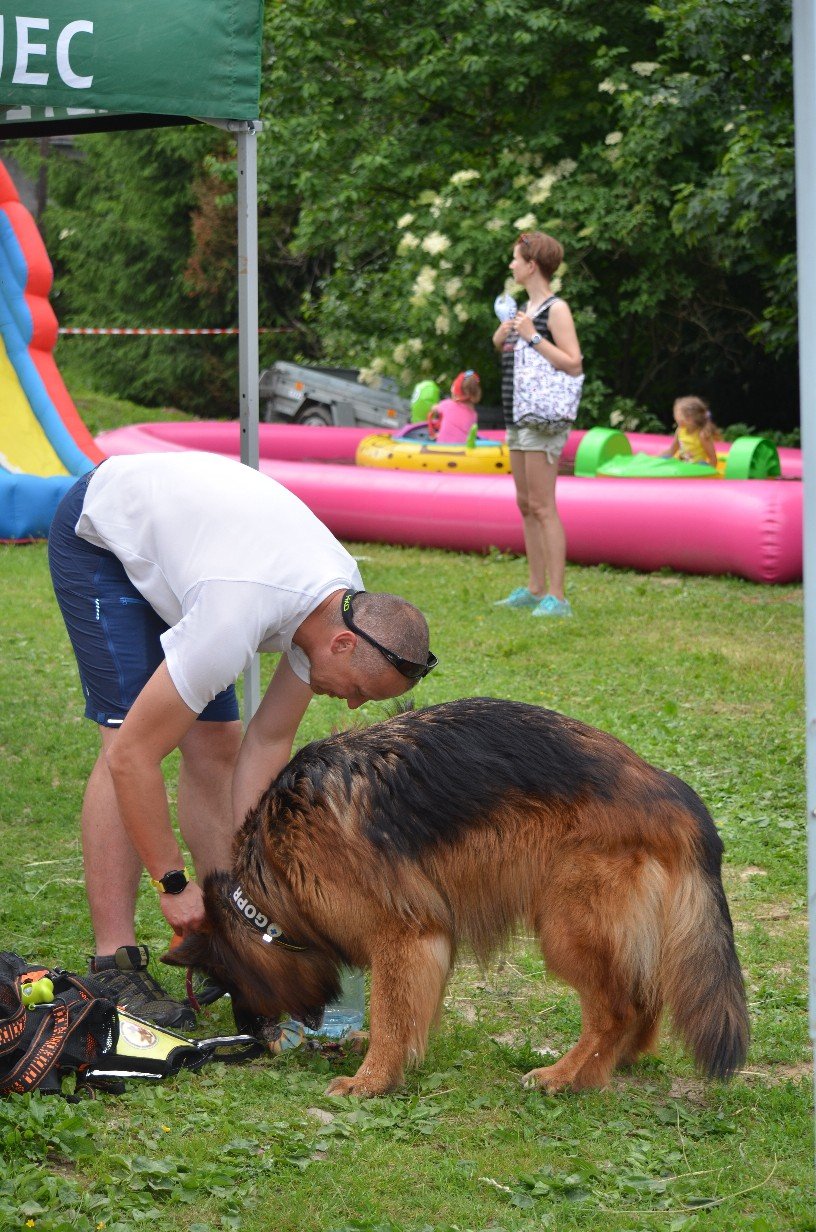 wspaniay-festyn-ze-zwierzakami-foto-75379
