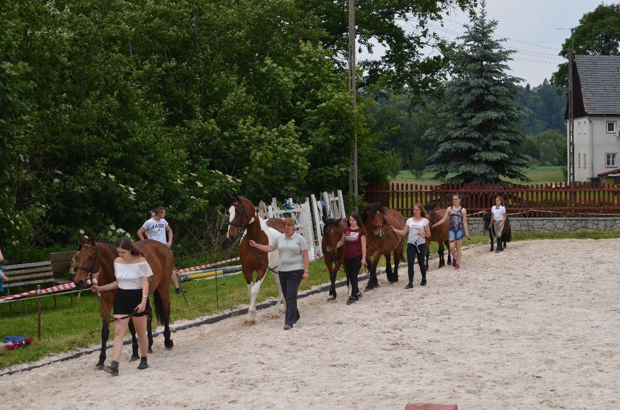 wspaniay-festyn-ze-zwierzakami-foto-75379