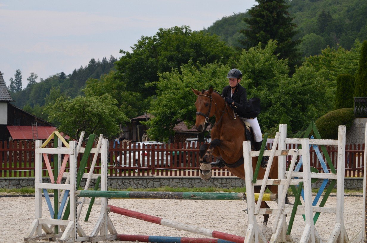 wspaniay-festyn-ze-zwierzakami-foto-75379