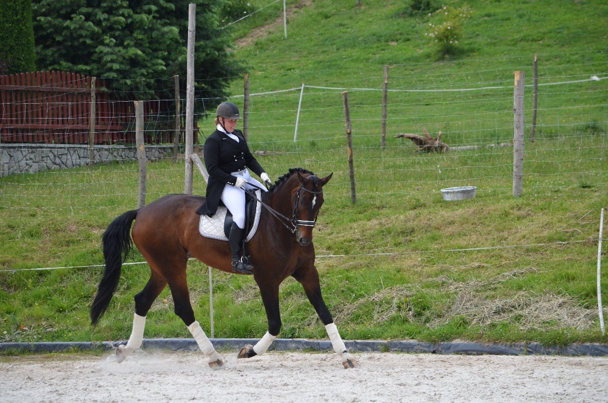 wspaniay-festyn-ze-zwierzakami-foto-75379