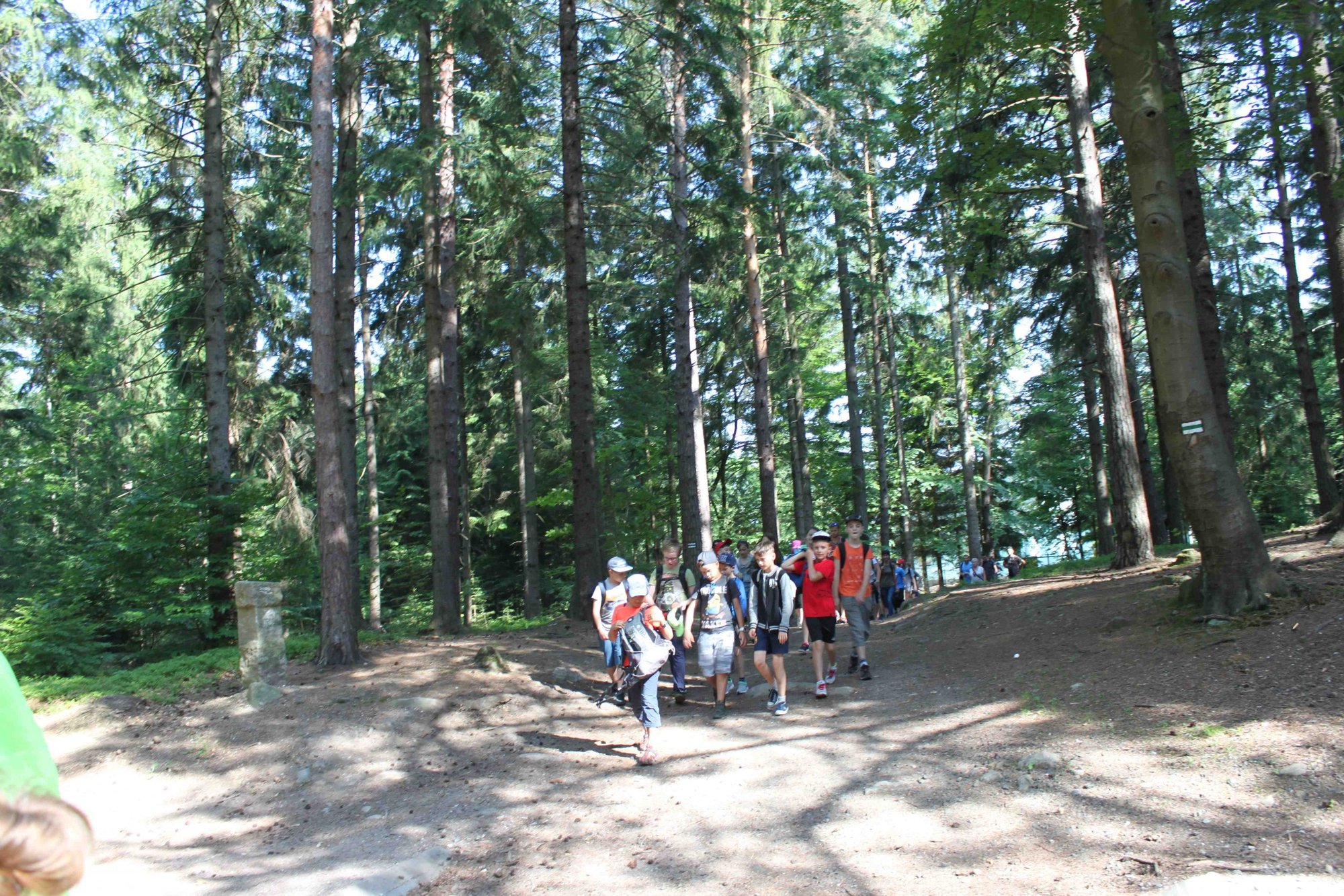 na-podboj-szwajcarki-75420