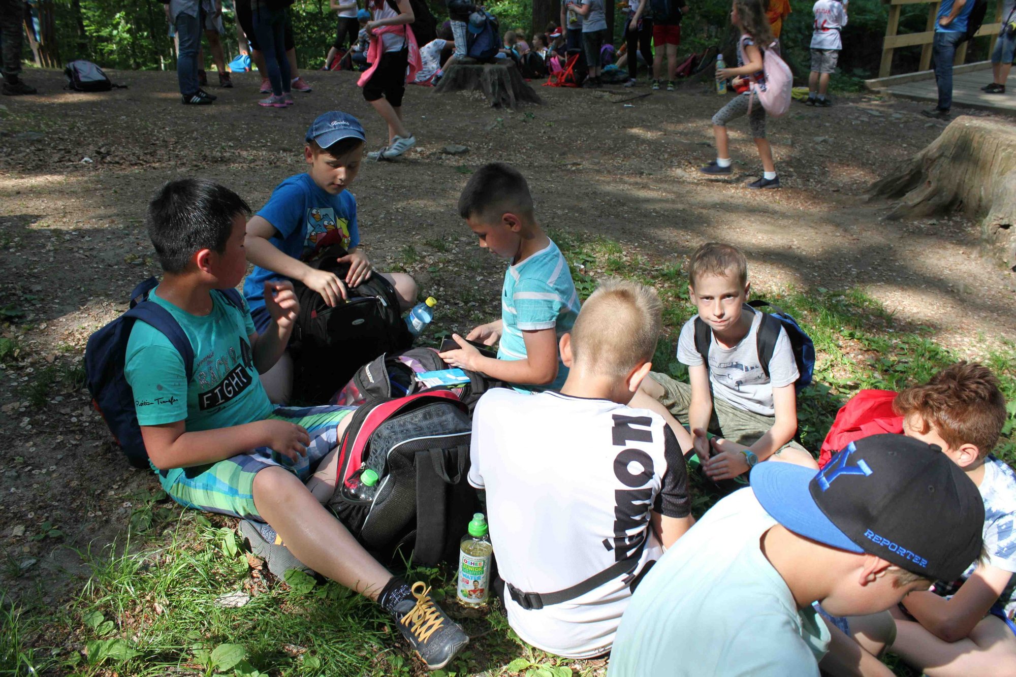 na-podboj-szwajcarki-75420