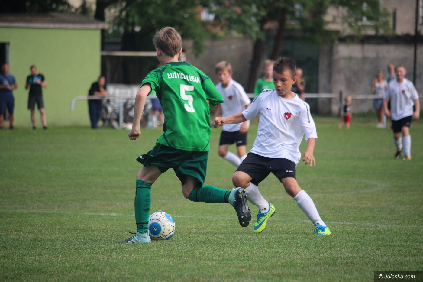 zwyciestwo-chojnika-75431