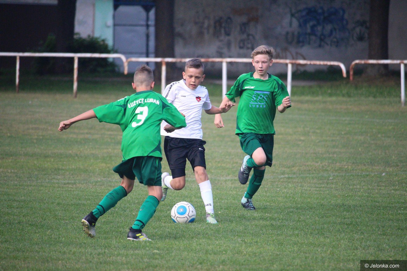 zwyciestwo-chojnika-75431