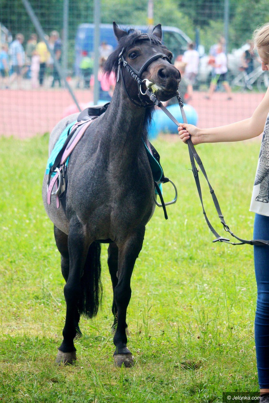 festyn-na-szostke-75595