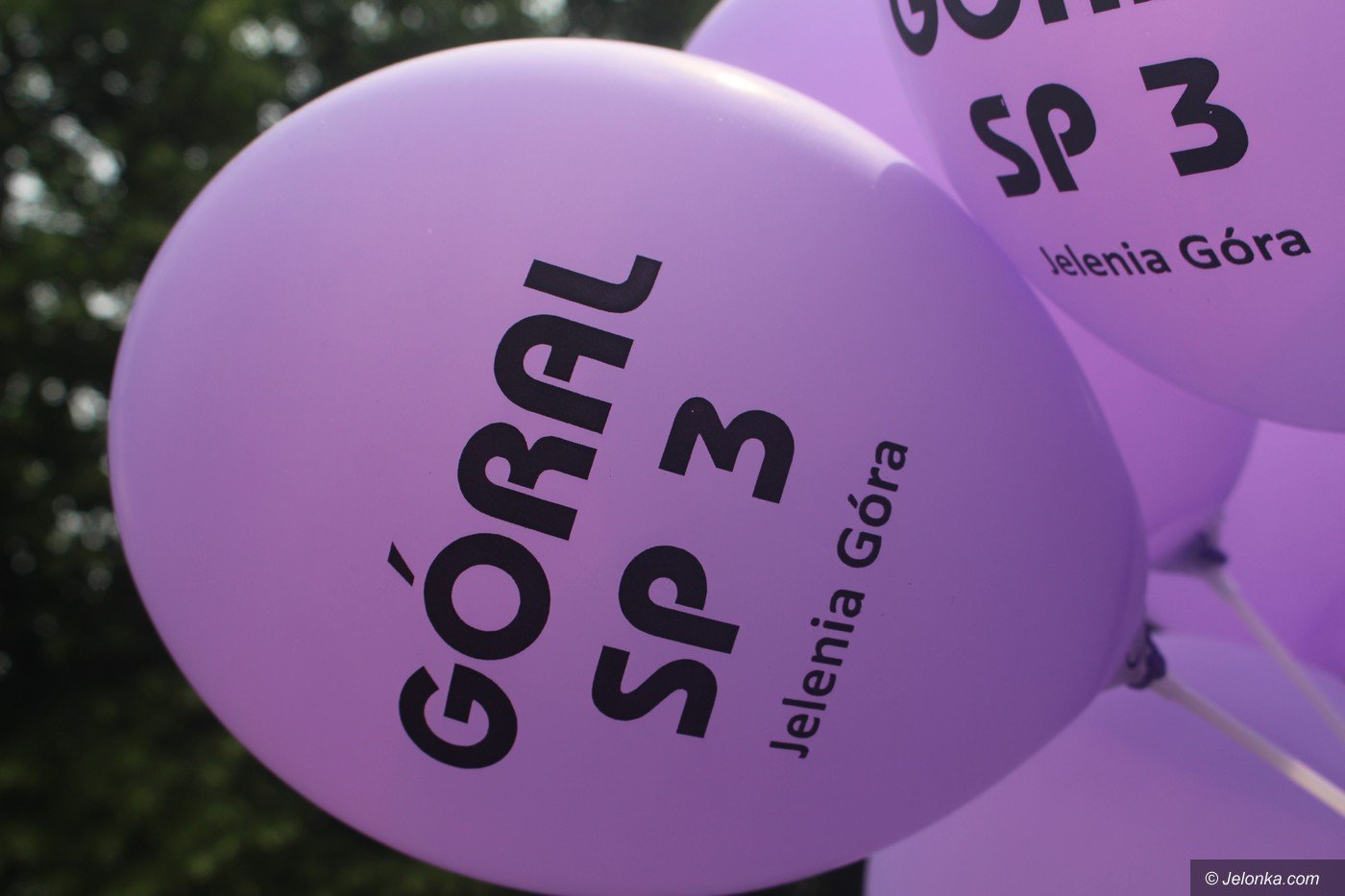 goral-rozstrzygniety-75640