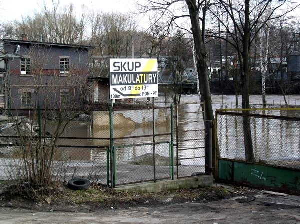 bobr-straszy-i-zalewa-7566