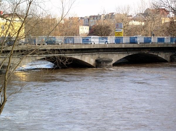 bobr-straszy-i-zalewa-7566