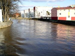 bobr-straszy-i-zalewa-7566