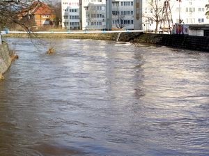 bobr-straszy-i-zalewa-7566