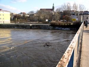 bobr-straszy-i-zalewa-7566