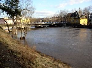 bobr-straszy-i-zalewa-7566