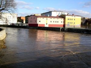 bobr-straszy-i-zalewa-7566
